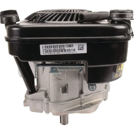 Moteur BRIGGS ET STRATTON 1006025025H5