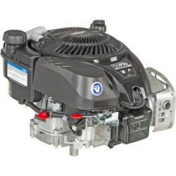 Moteur BRIGGS ET STRATTON 1008020149H5