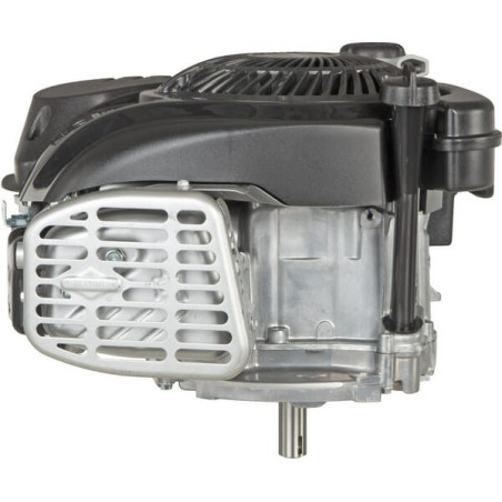 Moteur BRIGGS ET STRATTON 1008020149H5