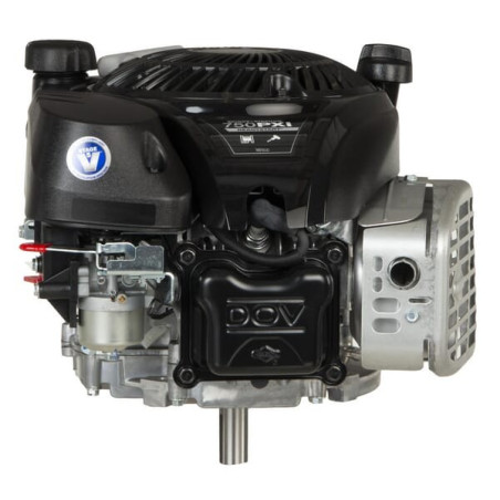 Moteur BRIGGS ET STRATTON 1008020149H5