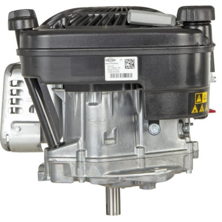 Moteur BRIGGS ET STRATTON 1008020149H5