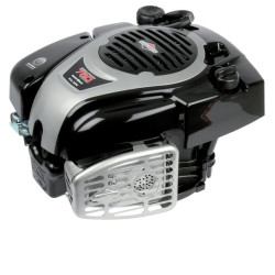 Moteur BRIGGS ET STRATTON 1006020190H5