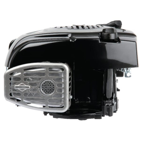 Moteur BRIGGS ET STRATTON 1006020177H5