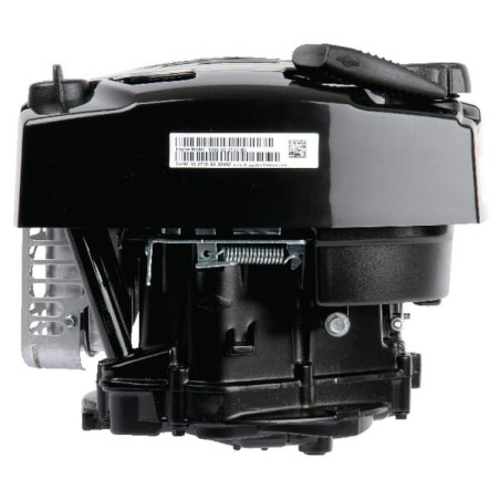 Moteur BRIGGS ET STRATTON 1006020177H5