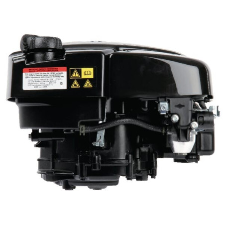 Moteur BRIGGS ET STRATTON 1006020177H5