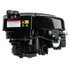 Moteur BRIGGS ET STRATTON 1006020177H5