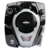 Moteur BRIGGS ET STRATTON 1006020177H5
