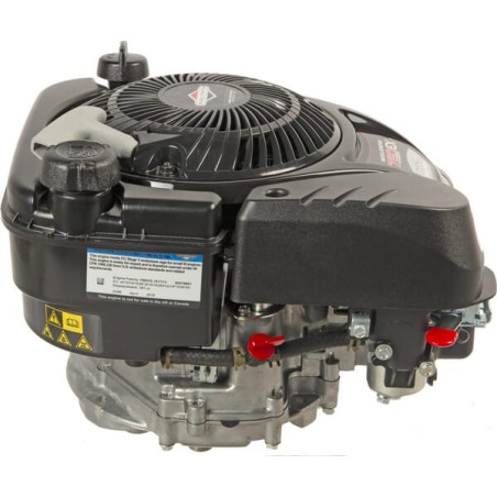 Moteur BRIGGS ET STRATTON 1008070150H5