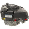 Moteur BRIGGS ET STRATTON 1008070150H5