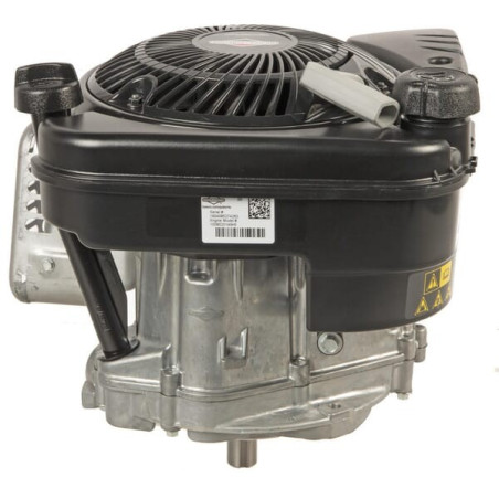 Moteur BRIGGS ET STRATTON 1008070150H5
