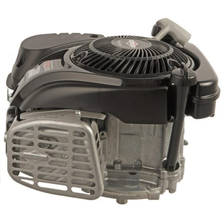 Moteur BRIGGS ET STRATTON 1008070150H5