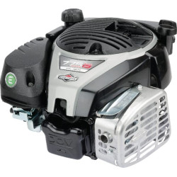 Moteur BRIGGS ET STRATTON 1006050038H5