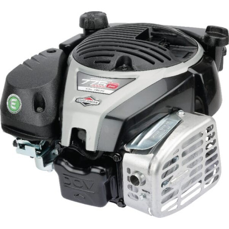 Moteur BRIGGS ET STRATTON 1006050038H5