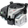 Moteur BRIGGS ET STRATTON 1006050038H5