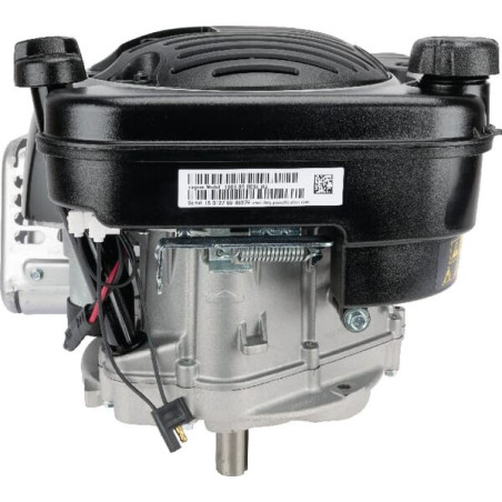 Moteur BRIGGS ET STRATTON 1006050038H5