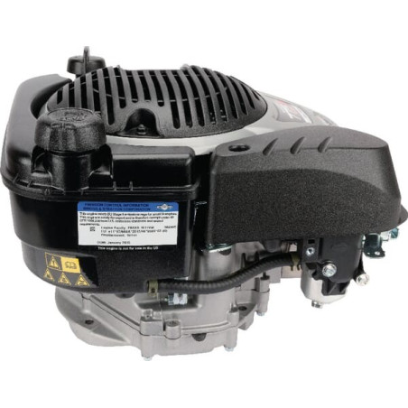 Moteur BRIGGS ET STRATTON 1006050038H5