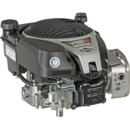 Moteur BRIGGS ET STRATTON 1006050039H5