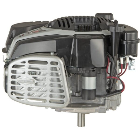 Moteur BRIGGS ET STRATTON 1006050039H5