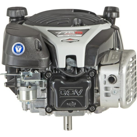 Moteur BRIGGS ET STRATTON 1006050039H5