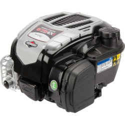 Moteur BRIGGS ET STRATTON 104M020066H5