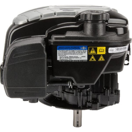 Moteur BRIGGS ET STRATTON 104M020066H5