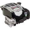 Moteur BRIGGS ET STRATTON 104M020046H5