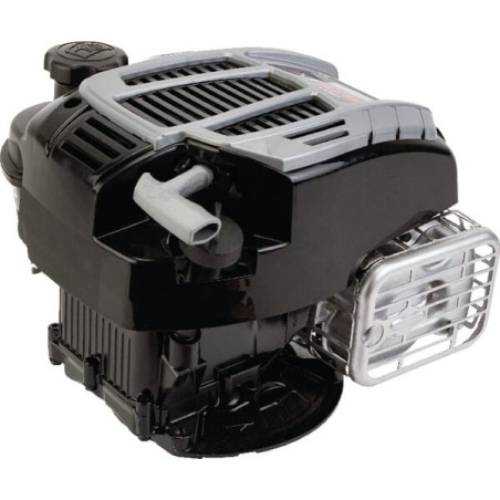 Moteur BRIGGS ET STRATTON 104M020046H5