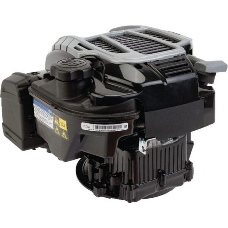 Moteur BRIGGS ET STRATTON 104M020046H5