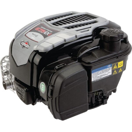 Moteur BRIGGS ET STRATTON 104M020046H5