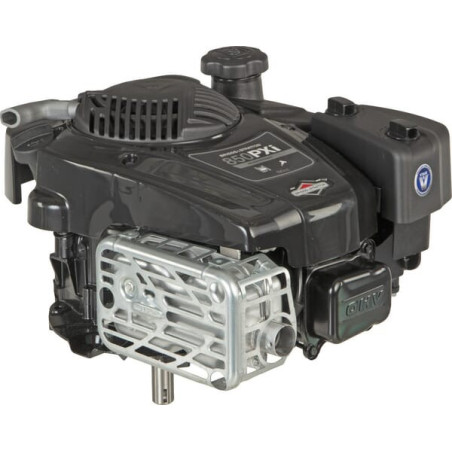 Moteur BRIGGS ET STRATTON 123P020011H5