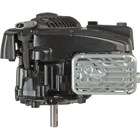 Moteur BRIGGS ET STRATTON 123P020011H5