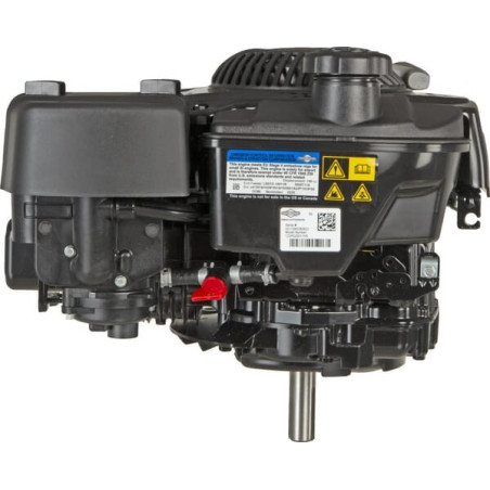 Moteur BRIGGS ET STRATTON 123P020011H5