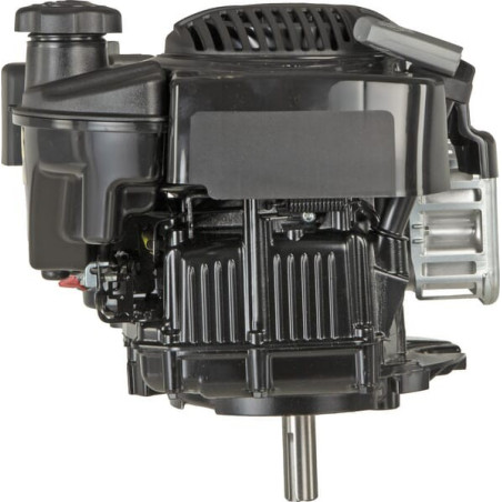 Moteur BRIGGS ET STRATTON 123P020011H5