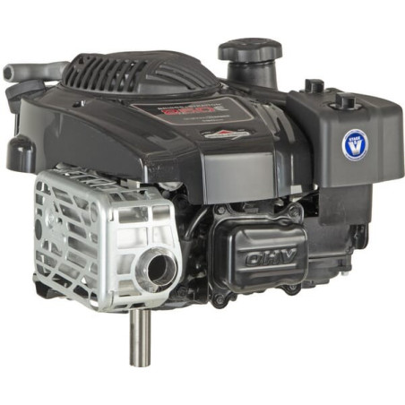 Moteur BRIGGS ET STRATTON 123P020014H5