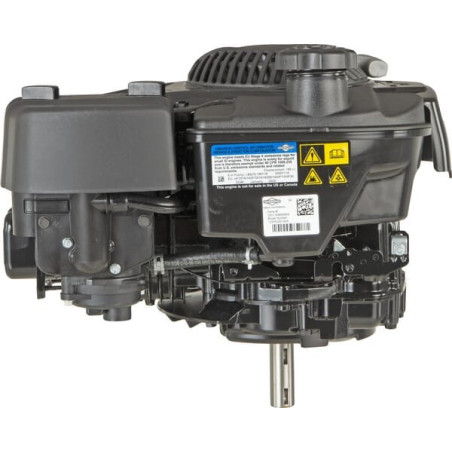 Moteur BRIGGS ET STRATTON 123P020014H5