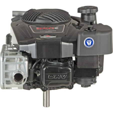 Moteur BRIGGS ET STRATTON 123P020014H5