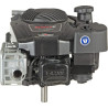 Moteur BRIGGS ET STRATTON 123P020014H5