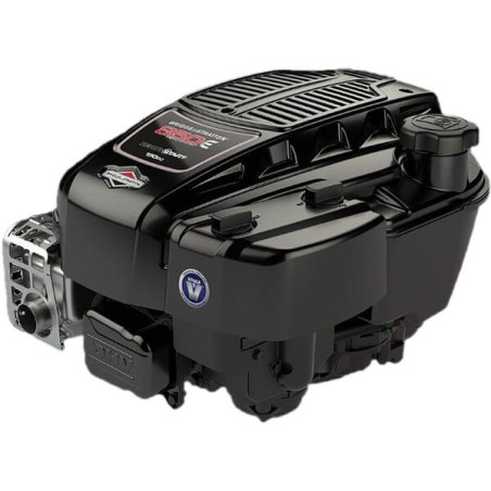 Moteur BRIGGS ET STRATTON 123P020008H5