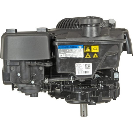 Moteur BRIGGS ET STRATTON 123P020004H5