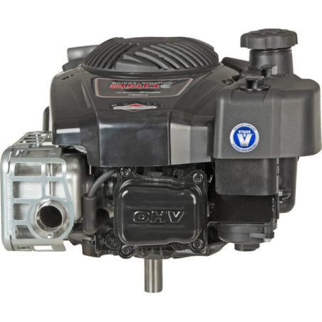 Moteur BRIGGS ET STRATTON 123P020004H5
