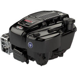 Moteur BRIGGS ET STRATTON 123P320012H5