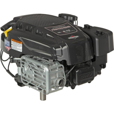 Moteur BRIGGS ET STRATTON 125P050010F1