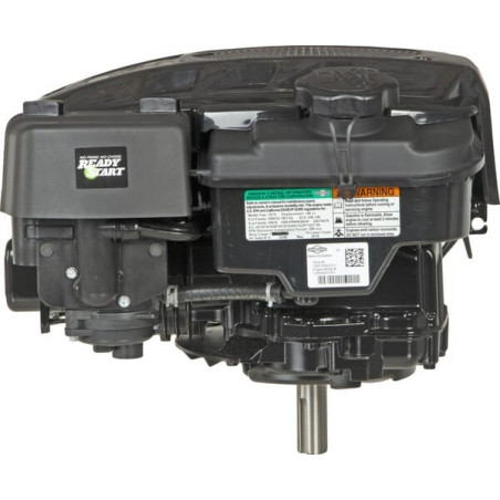 Moteur BRIGGS ET STRATTON 125P050010F1