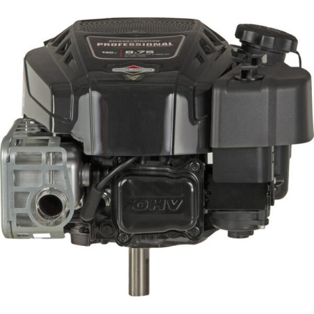 Moteur BRIGGS ET STRATTON 125P050010F1