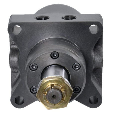 Moteur DANFOSS OMRW3151516307