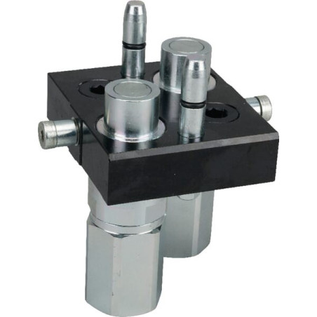 Raccord rapide 2x3/4" FASTER 3P510234GMC