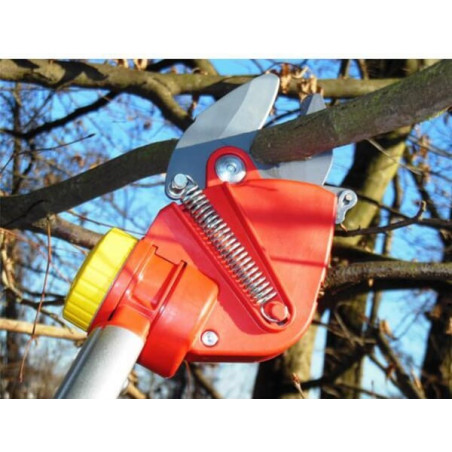 Perche élagueuse OUTILS-WOLF OS4000OW