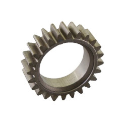 Pignon BRIGGS ET STRATTON 691830