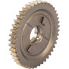 Pignon CARRARO CI130824