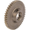 Pignon CARRARO CI130824